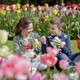 Keukenhof