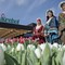 Oud-Hollands weekend Keukenhof