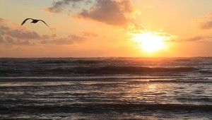 Van der Valk Noordwijk kust
