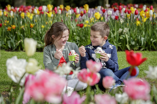 Keukenhof Arrangement Noordwijk