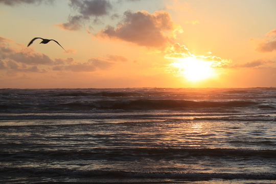 Beach Noordwijk