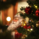 Menüs 24. Dezember