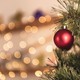 Menüs 25. Dezember