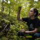 GoForest